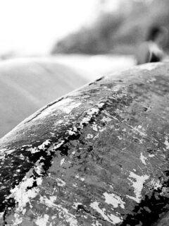 Boat Barco Texture
