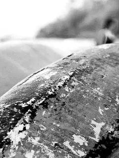Boat Barco Texture