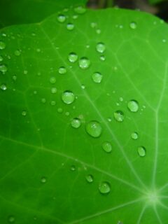 cropped-dsc20050604_133440_34211.jpg